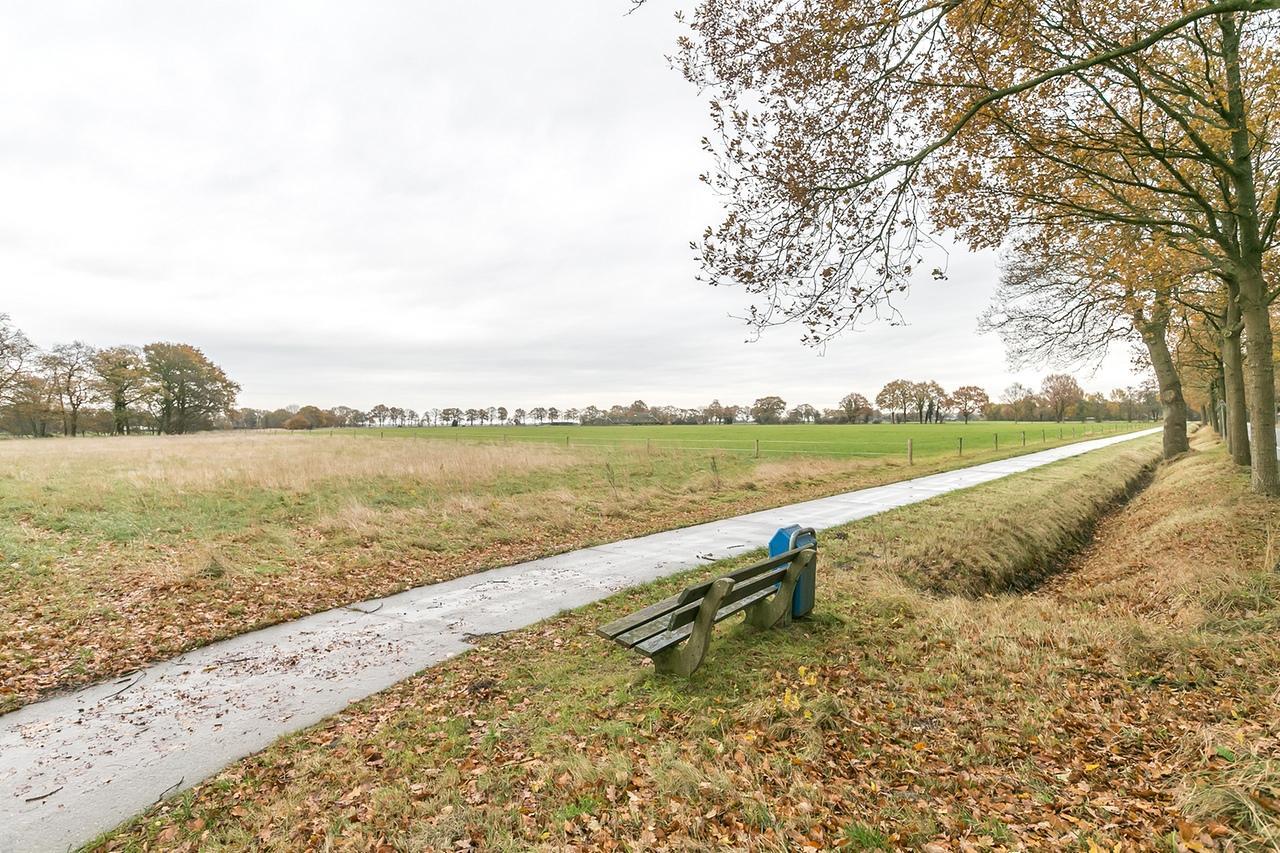 Herberg De Blankehoeve Noordlaren Eksteriør billede